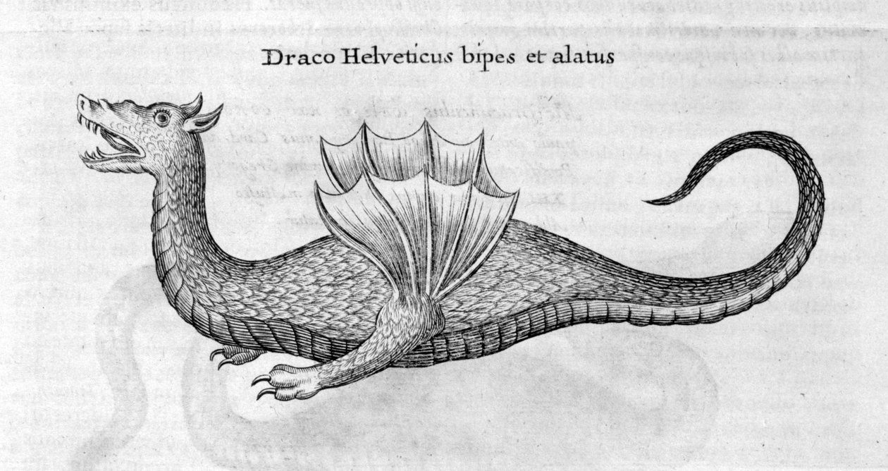 Dragão, 1678 de Athanasius Kircher