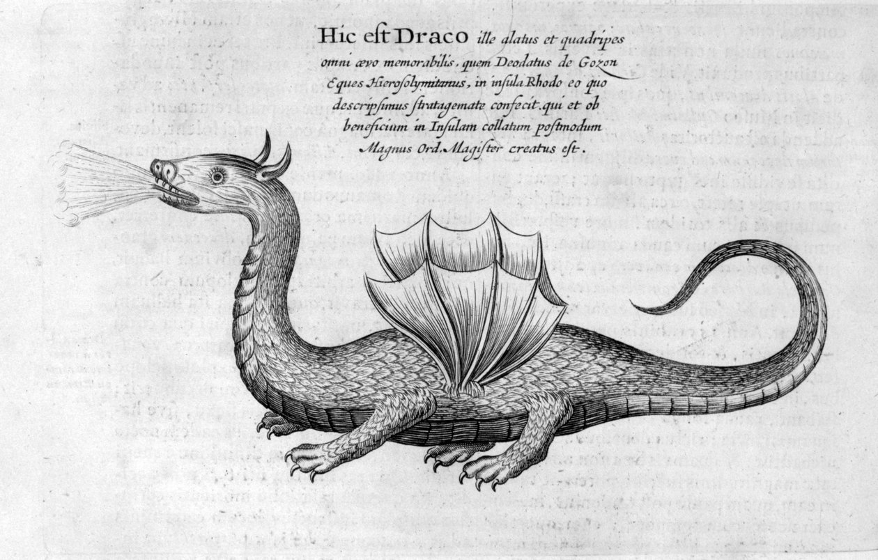 Dragão, 1678 de Athanasius Kircher