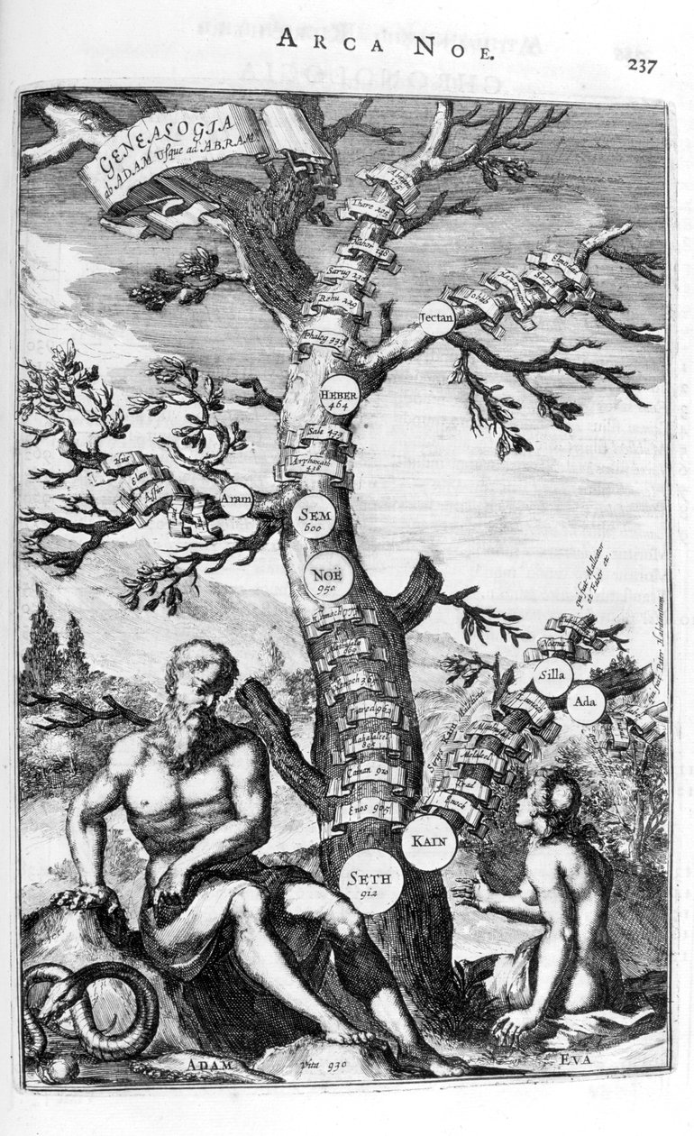 Árvore genealógica de Adão, 1675. de Athanasius Kircher
