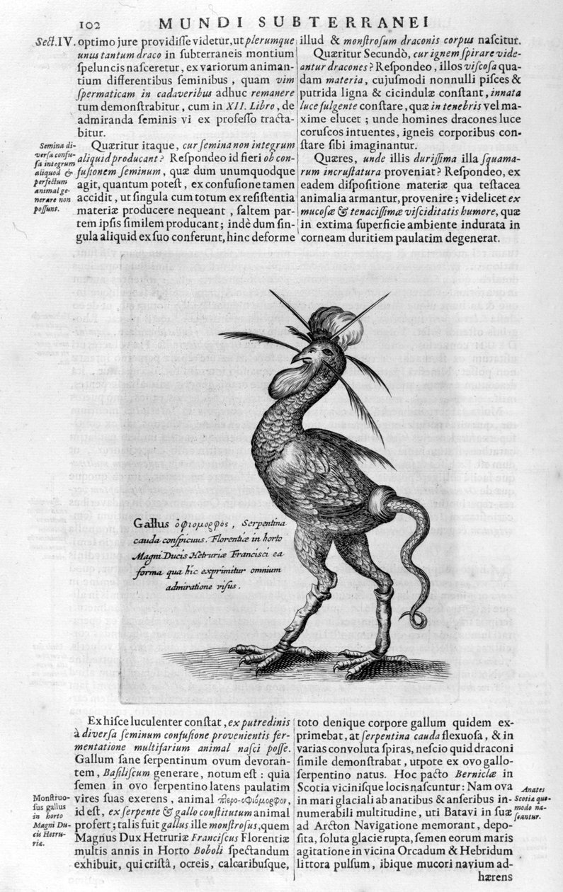 Criaturas míticas, 1678. de Athanasius Kircher