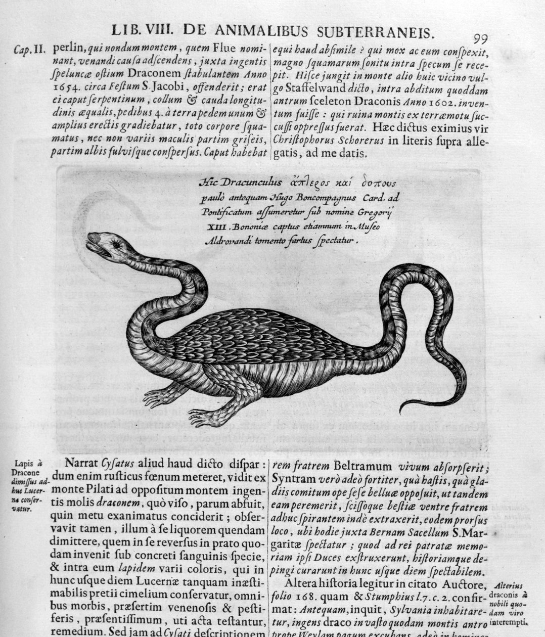 Dragão pequeno, 1678 de Athanasius Kircher