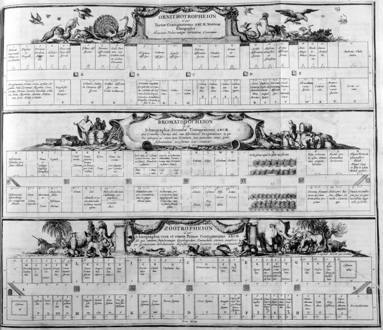 Tabela da espécie, 1765. de Athanasius Kircher