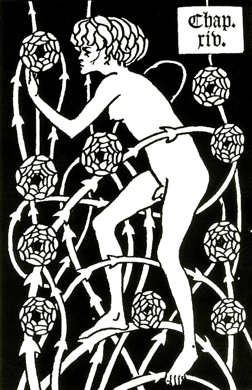 hermafrodita entre as rosas de Le morte d&39;Arthur por Sir Thomas Malory, 1894 de Aubrey Beardsley