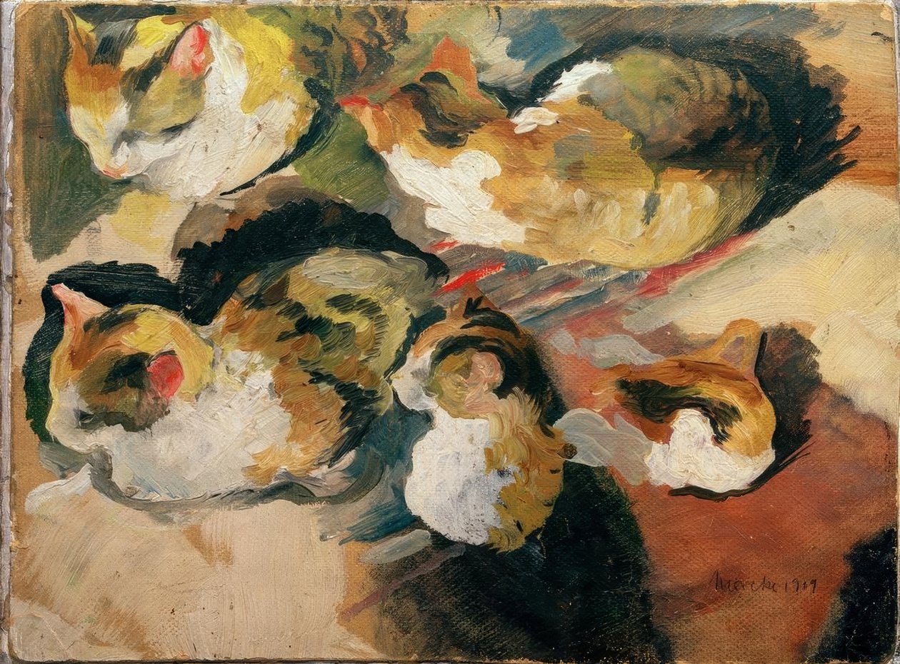 estudos gatos de August Macke