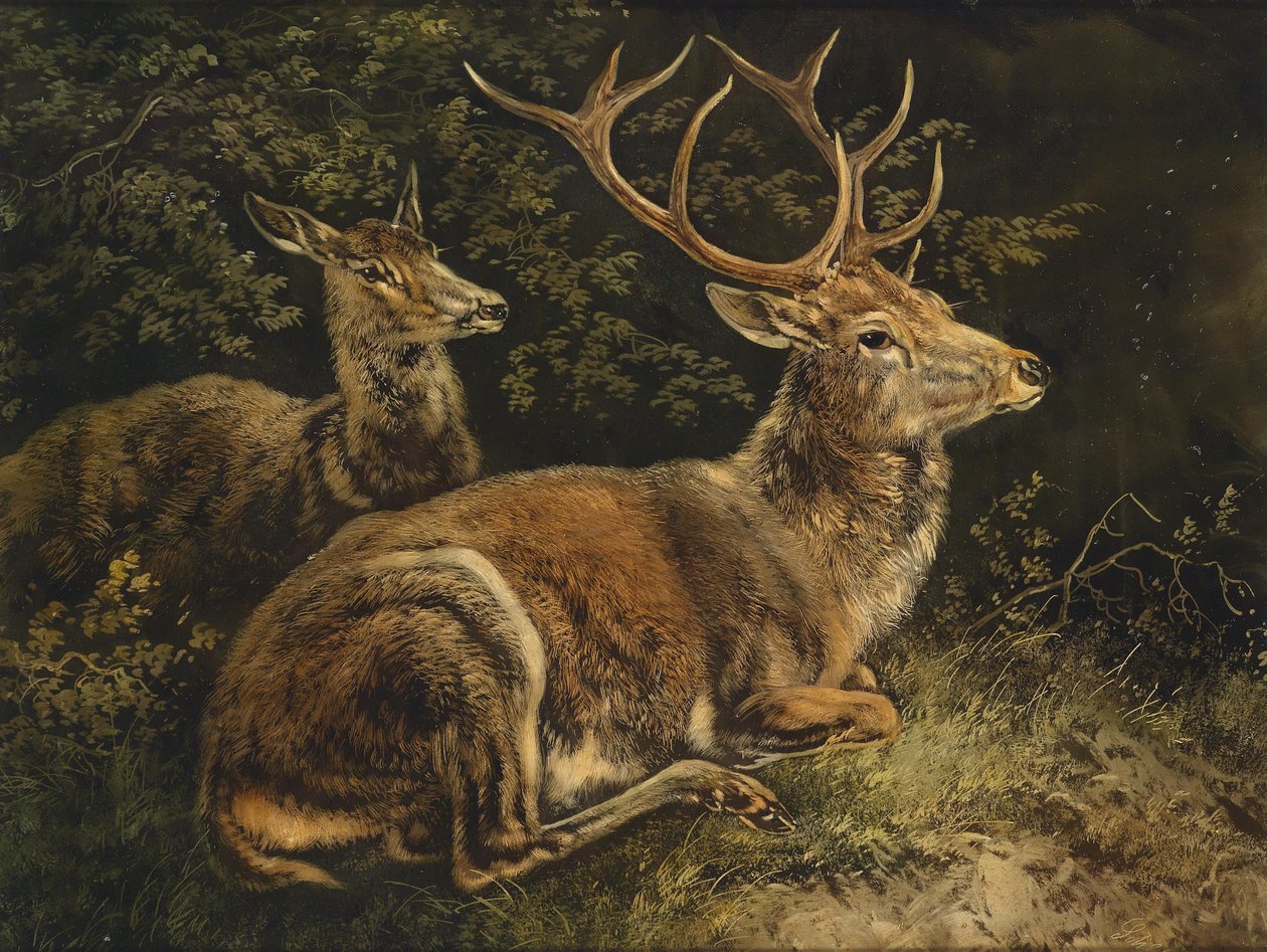 veado de August Schleich