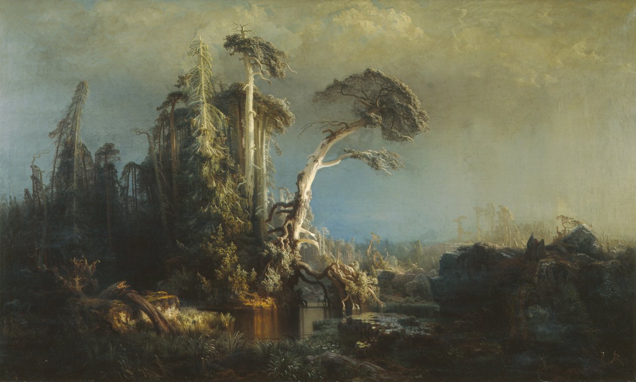 Mata virgem moribunda em mau tempo (após a tempestade) (óleo sobre tela) de August Cappelen