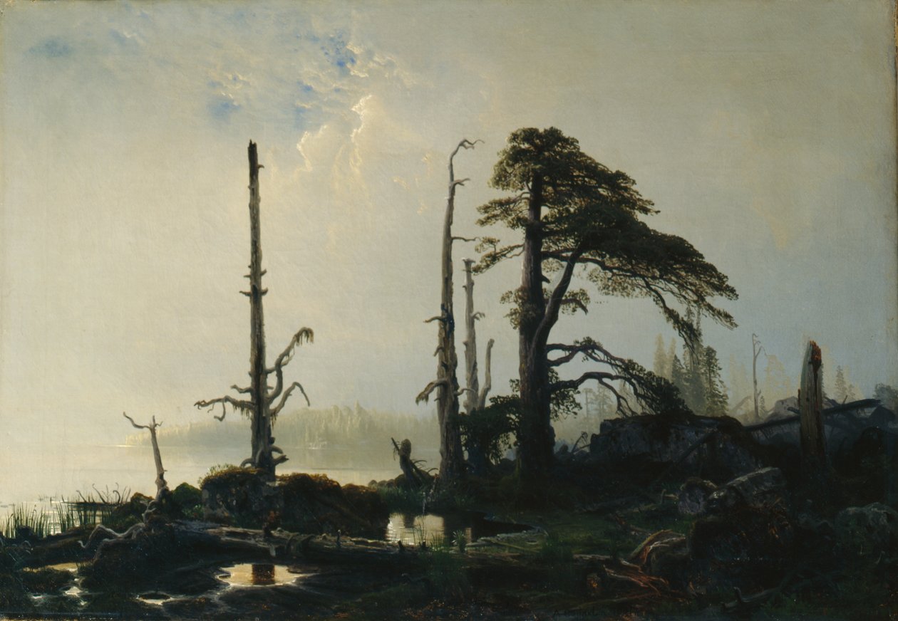 Lago no nevoeiro (óleo sobre tela) de August Cappelen