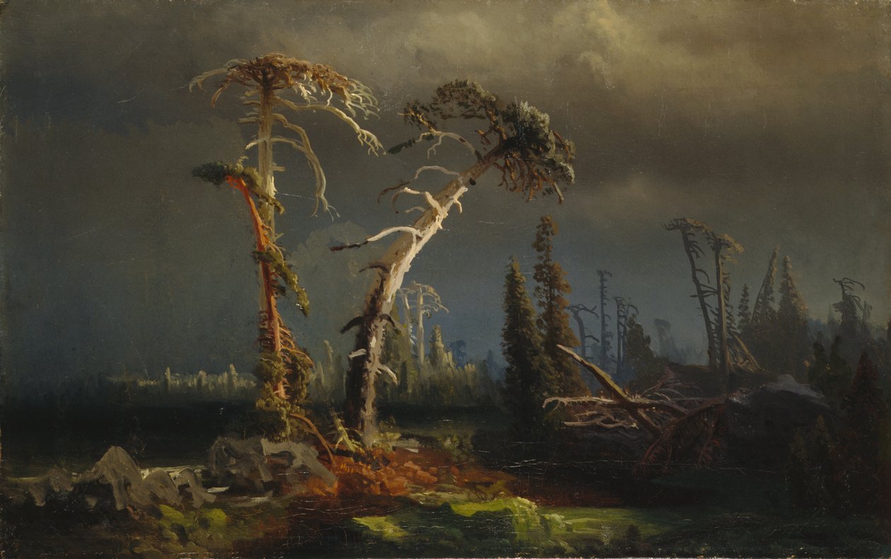 Tempestades crescentes - floresta primitiva morrendo em tempestades (óleo sobre tela) de August Cappelen