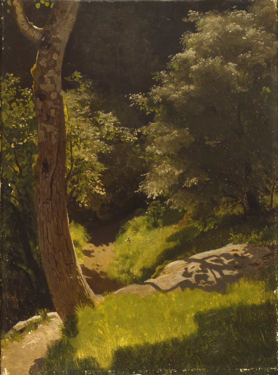 Paisagem do parque com caminho de jardim (óleo sobre tela) de August Cappelen