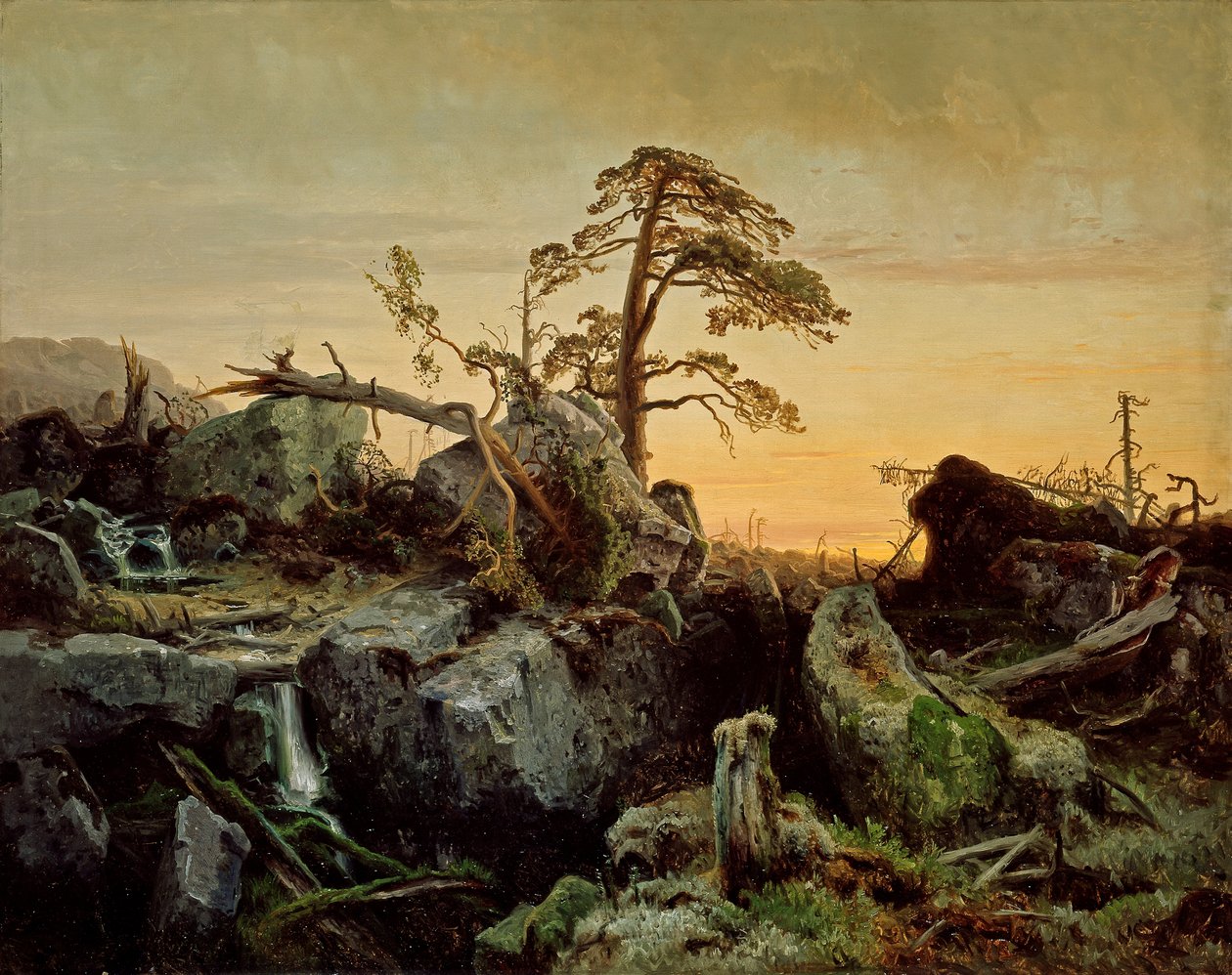 Morte na selva de August Cappelen