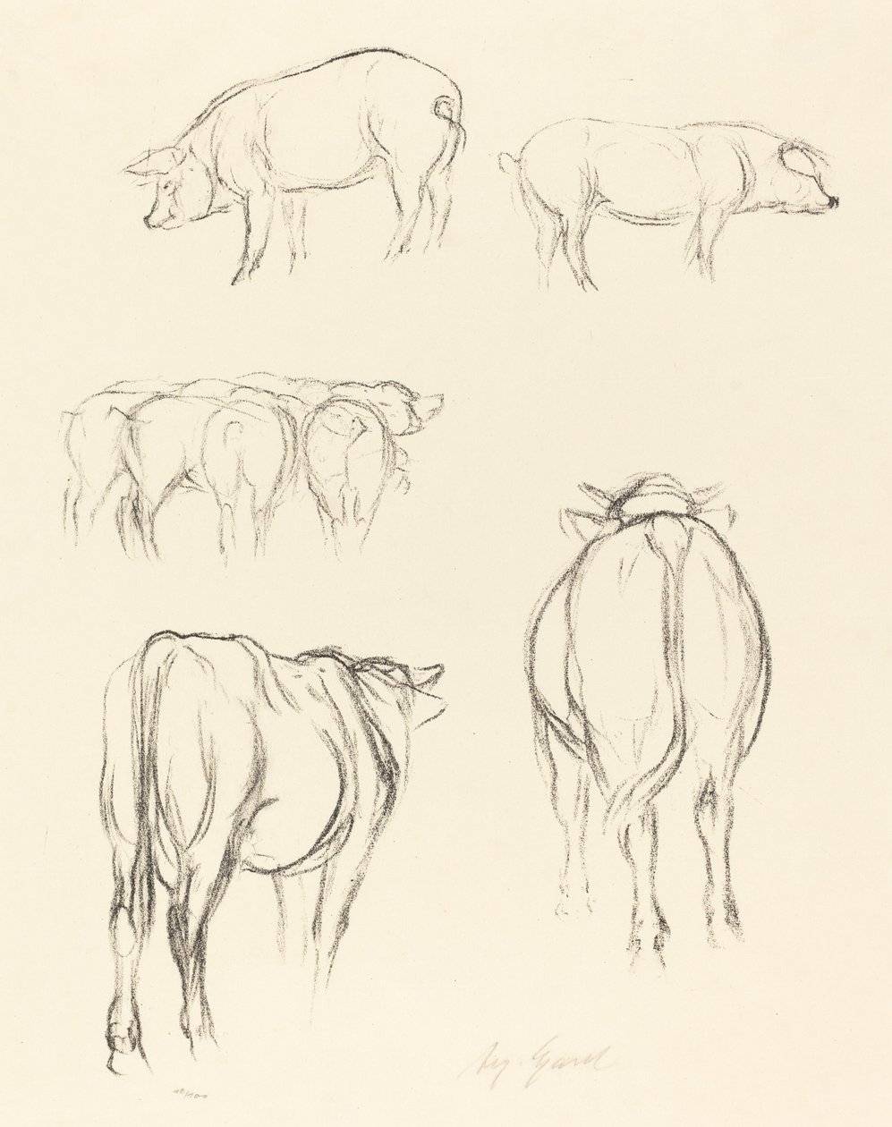 Desenhos de animais de August Gaul