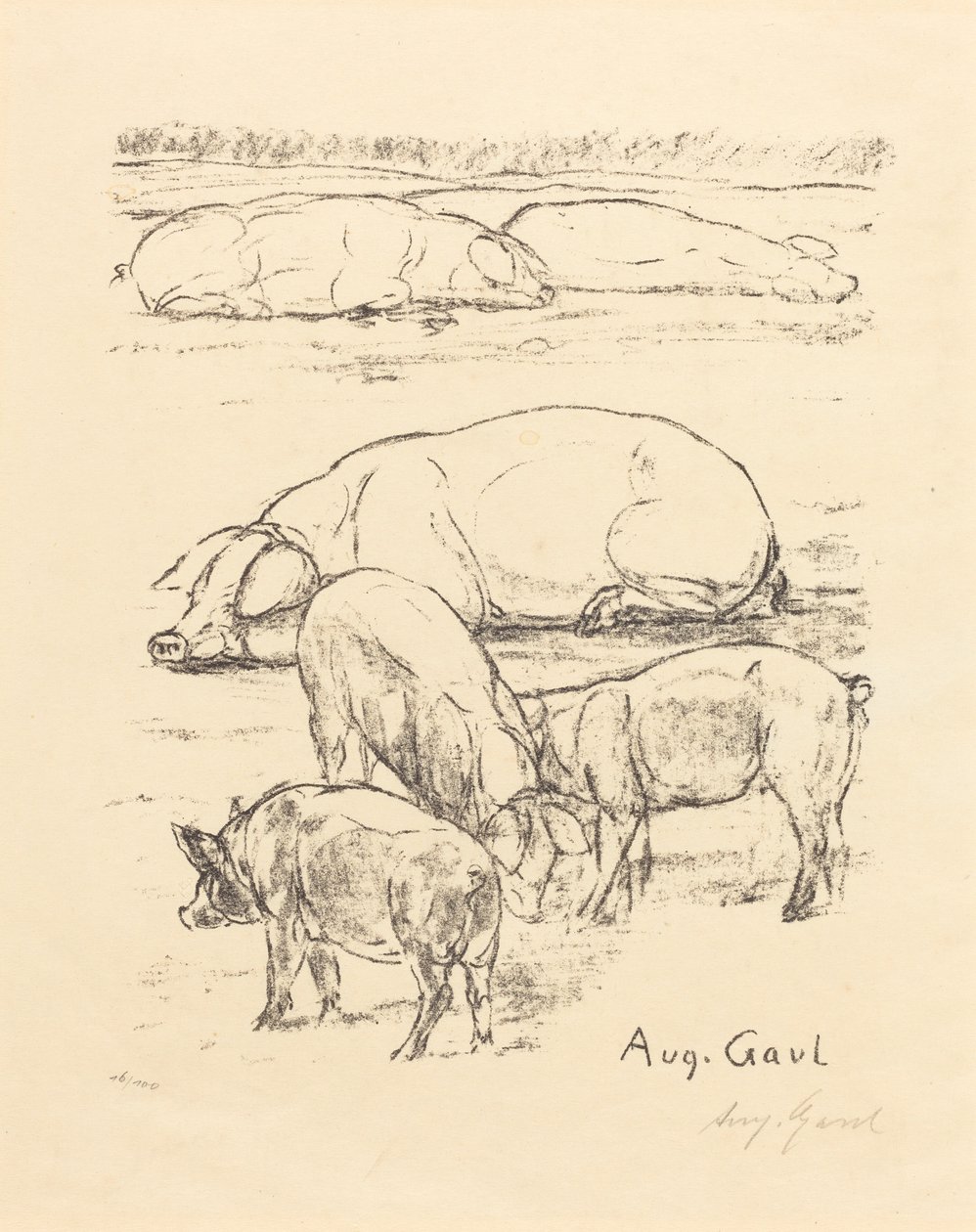 Porcas de August Gaul