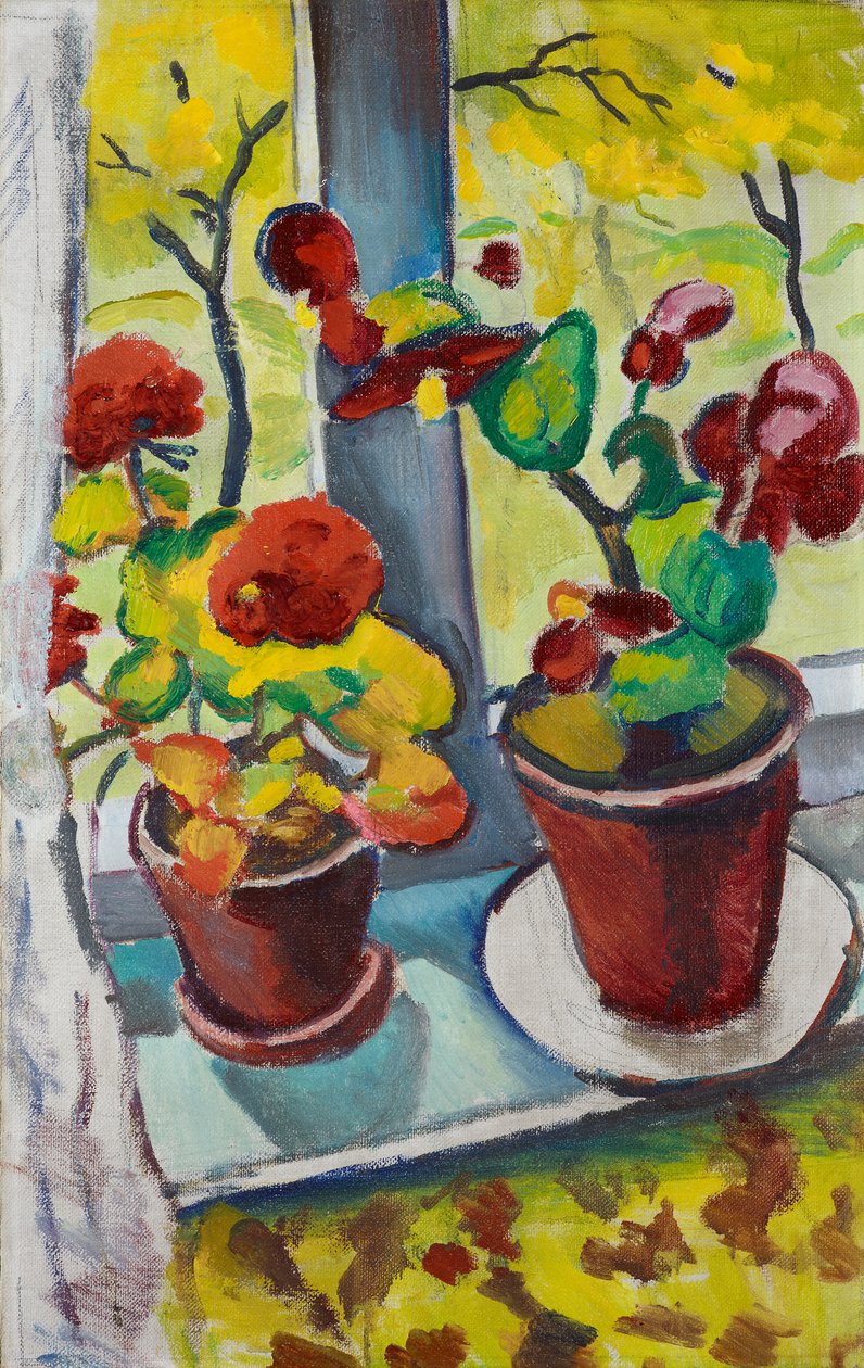 Flores à janela - Begónias em vasos I de August Macke