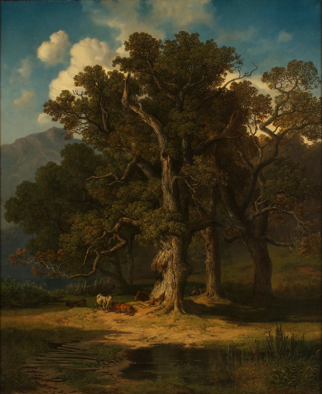 paisagem da floresta de August Maximilian Zimmermann