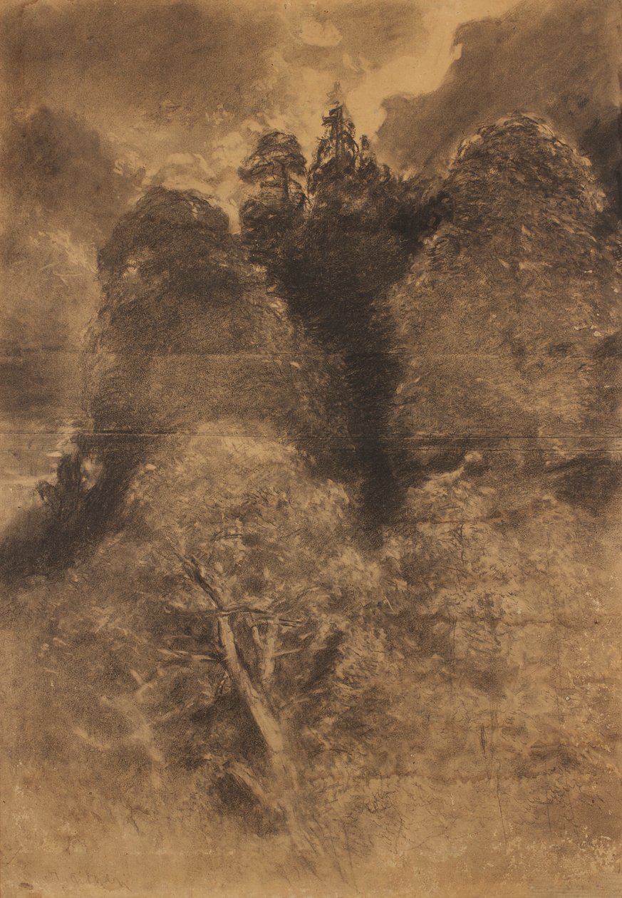 estudo de árvore de August Schaeffer von Wienwald