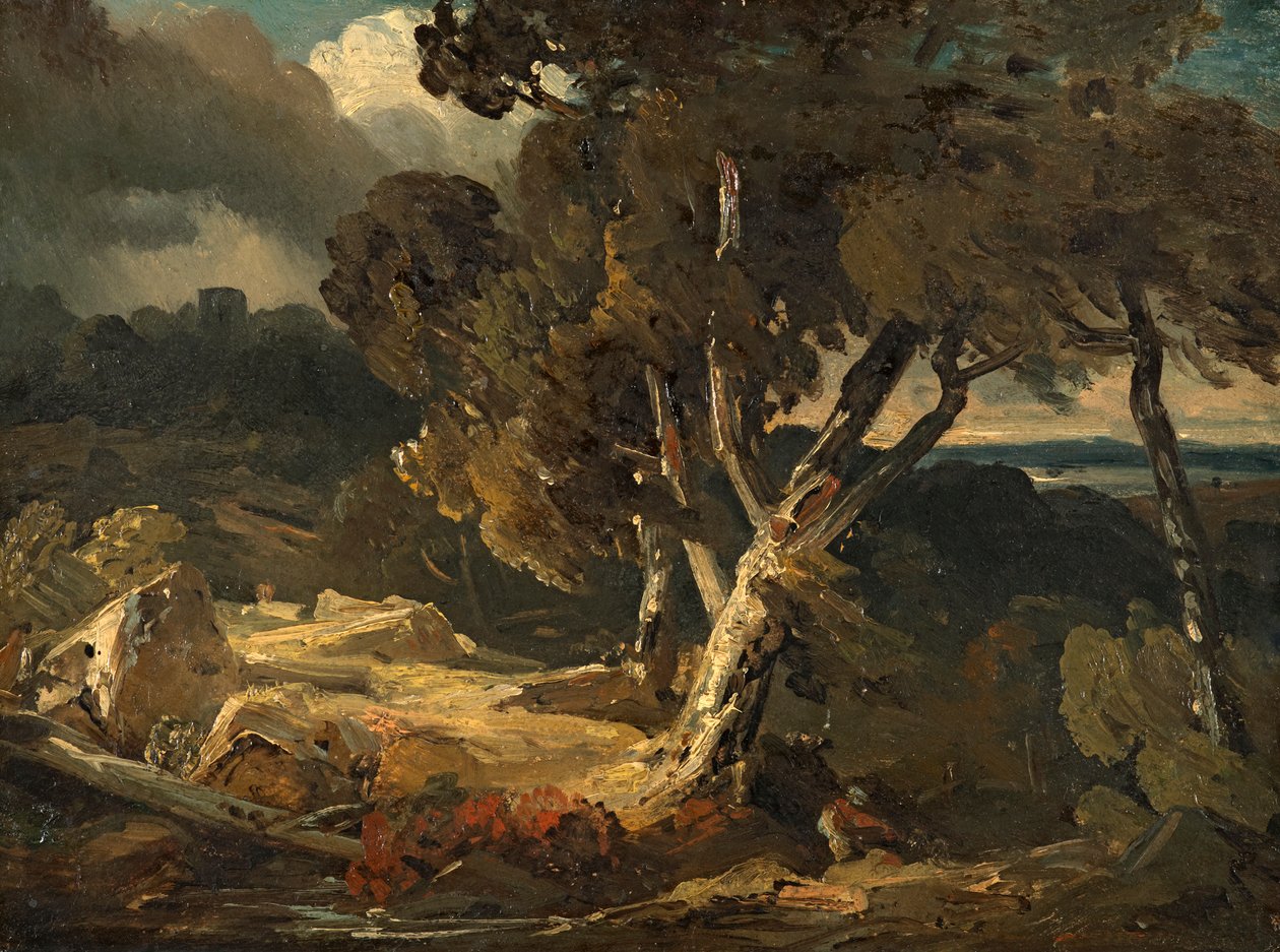 paisagem de tempestade de August Seidel