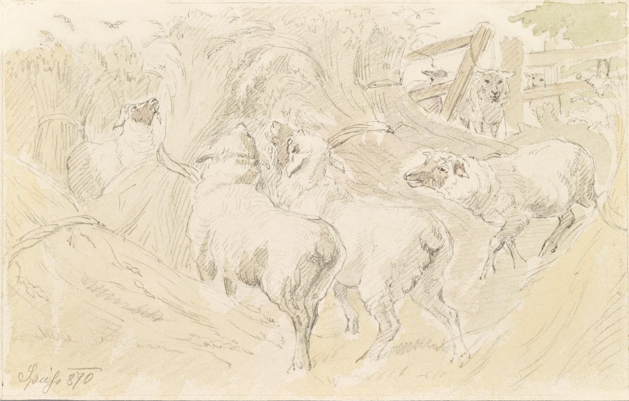 Ovelhas em grão de August Spiess