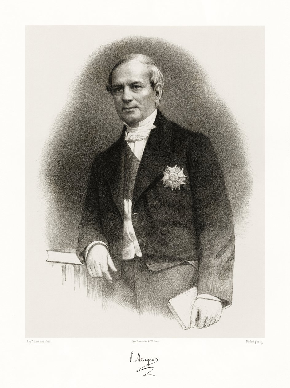 Pierre Magne, 1865-66 de Auguste Charles Lemoine