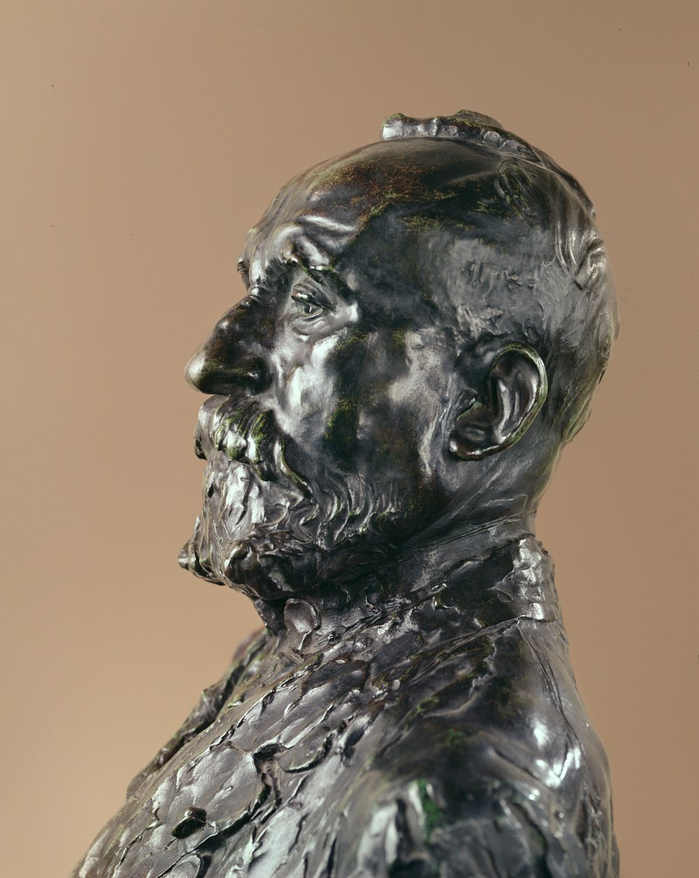 Puvis de Chavannes, 1891 (bronze) de Auguste Rodin