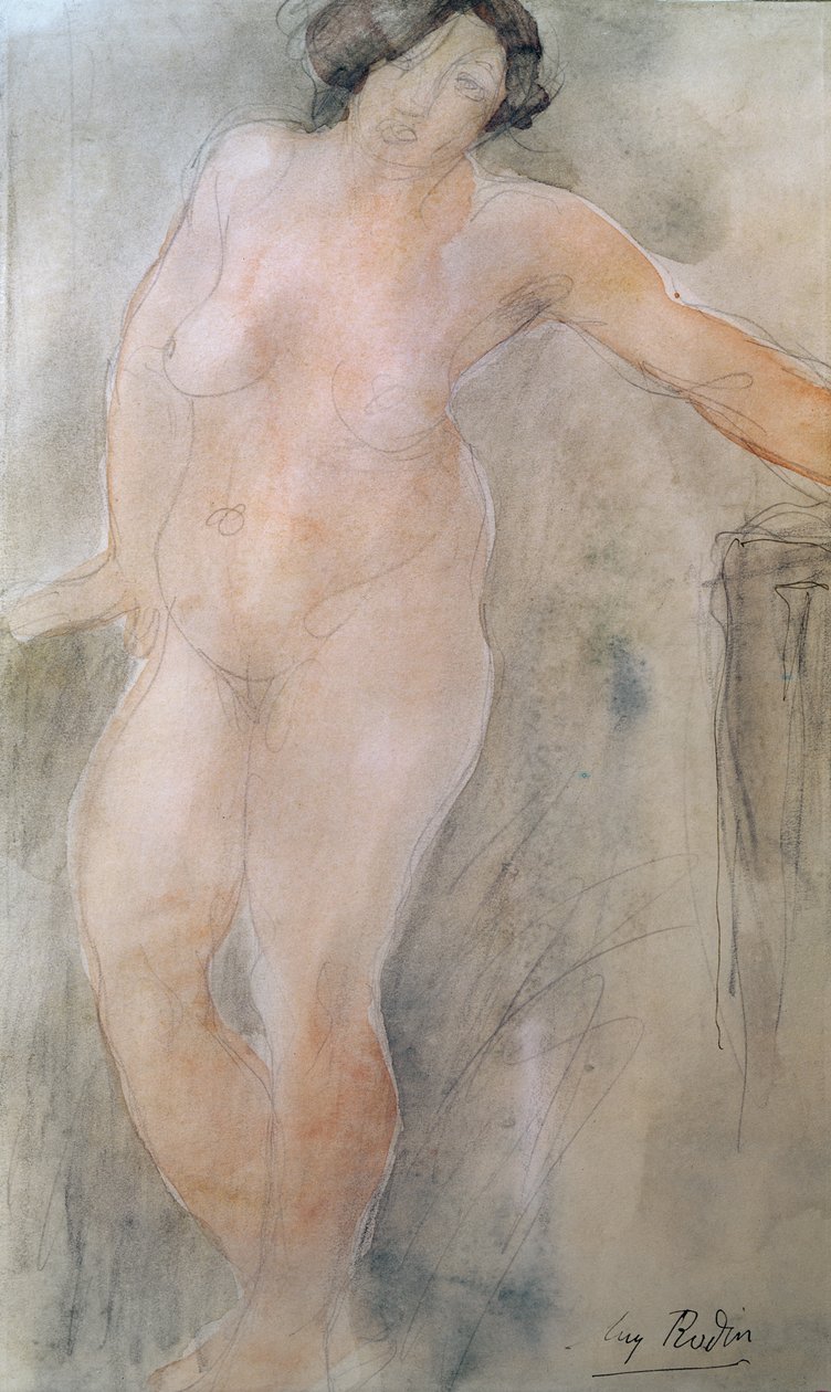 Estudo de um nu feminino (lápis e wc no papel) de Auguste Rodin
