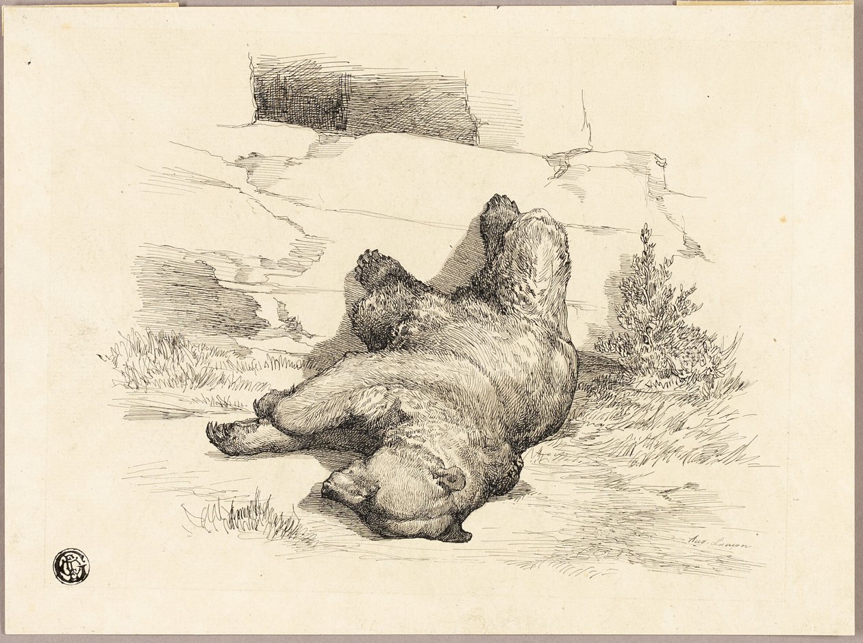 Urso russo de Auguste Andre Lancon