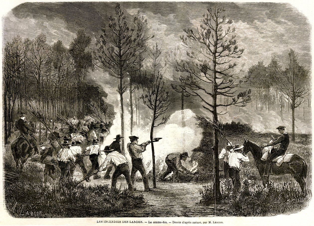 O grande incêndio das Landes, o contra-fogo de Auguste Andre Lancon