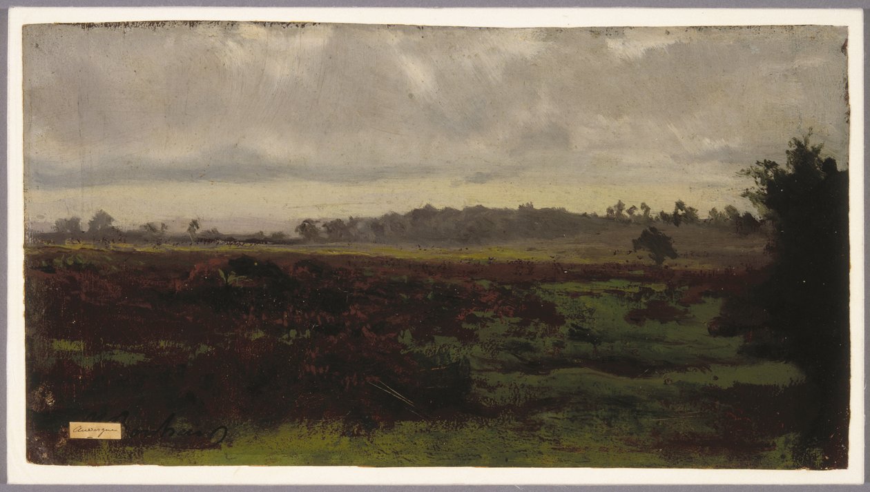 Terras dos pântanos, meados dos anos 1850 (óleo sobre papel) de Auguste Francois Bonheur