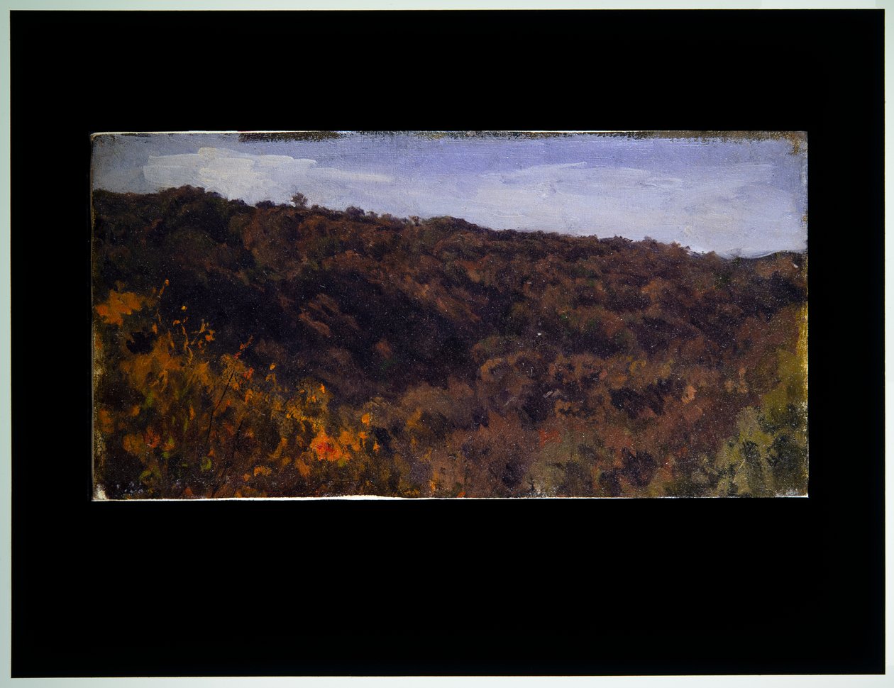 Duas paisagens de Auguste Francois Bonheur
