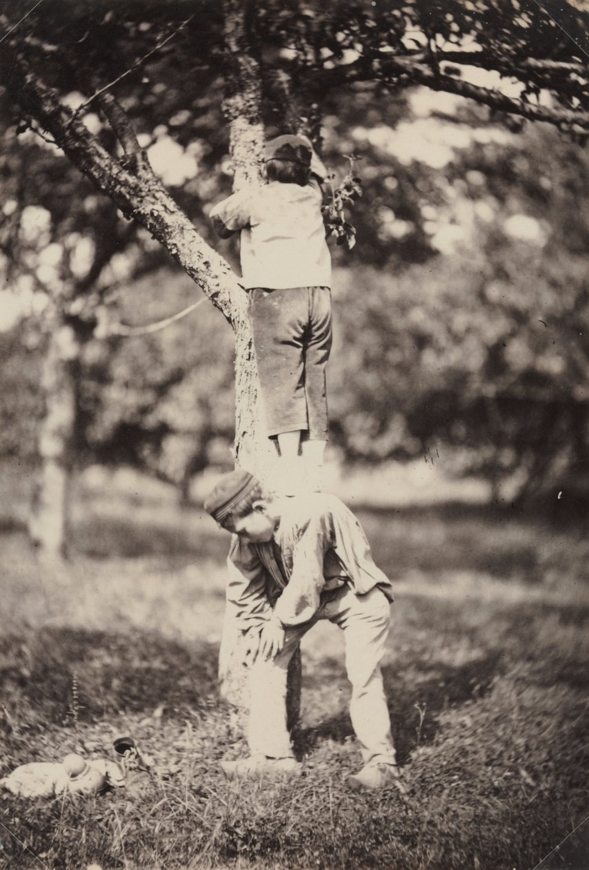 Estudo de país francês: dois meninos escalando uma árvore de Auguste Giraudon