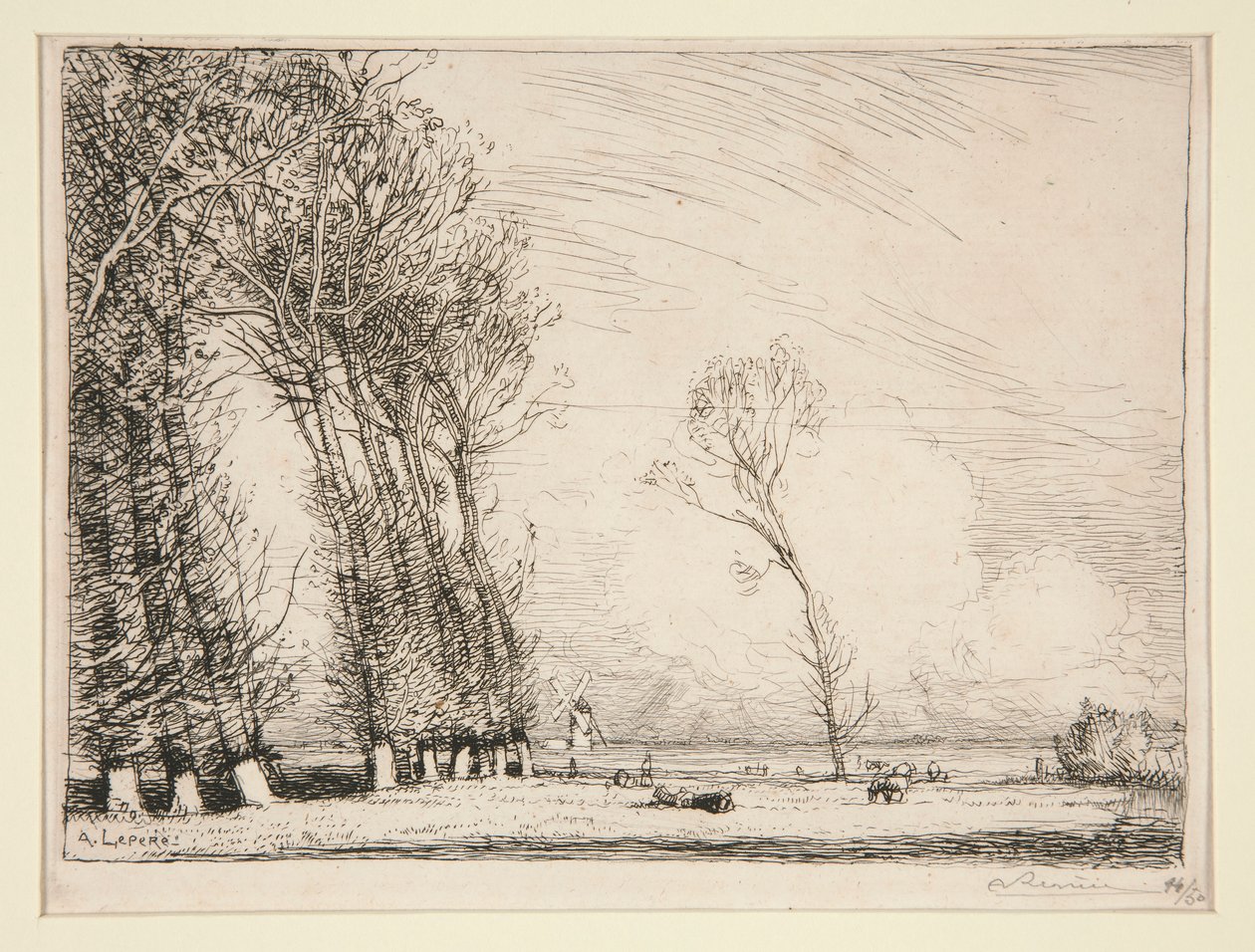 Cortina de Choupos (Vend?e) de Auguste Lepere