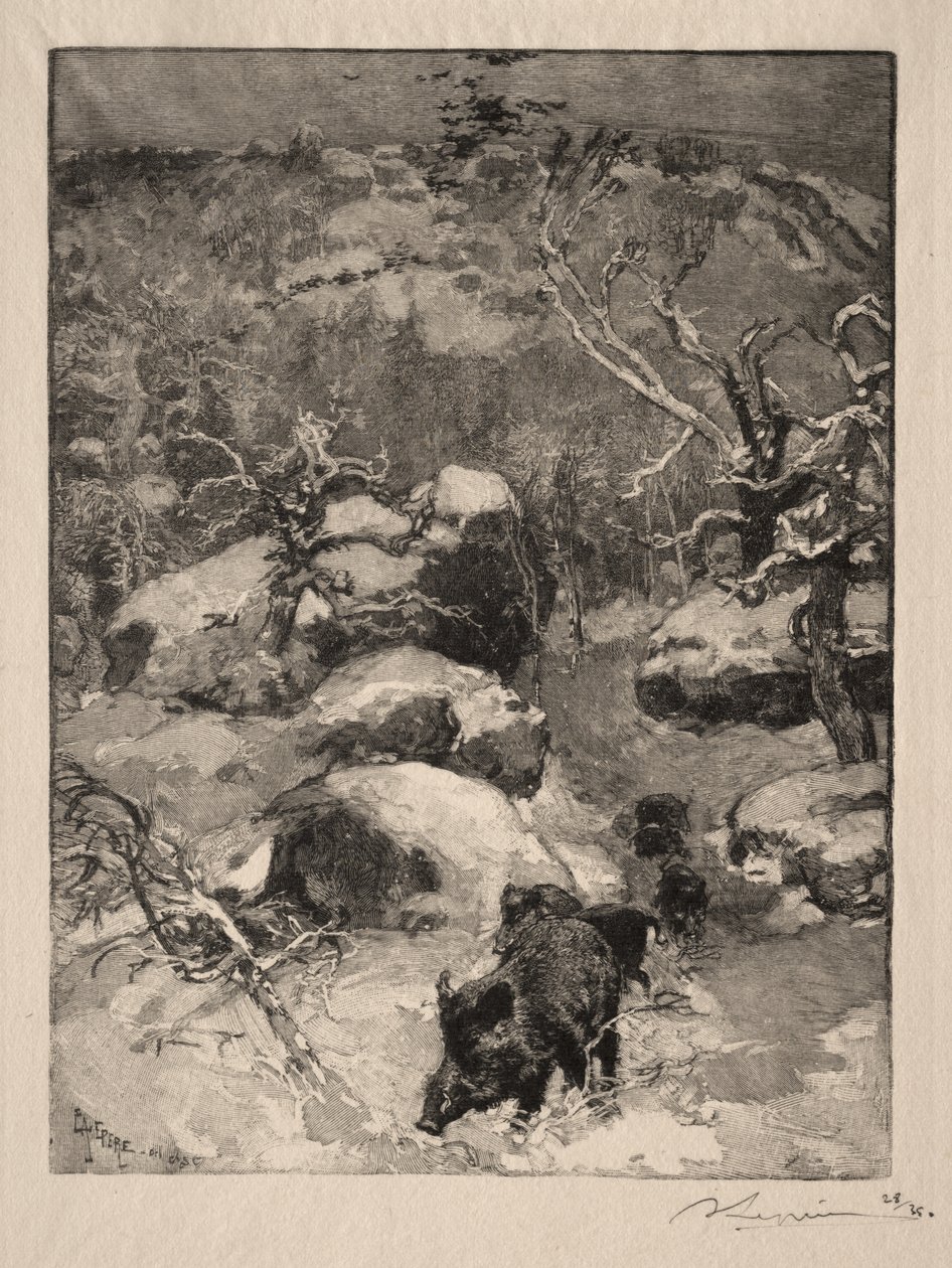 Roche Cuvier Châtillon de Auguste Louis Lepère