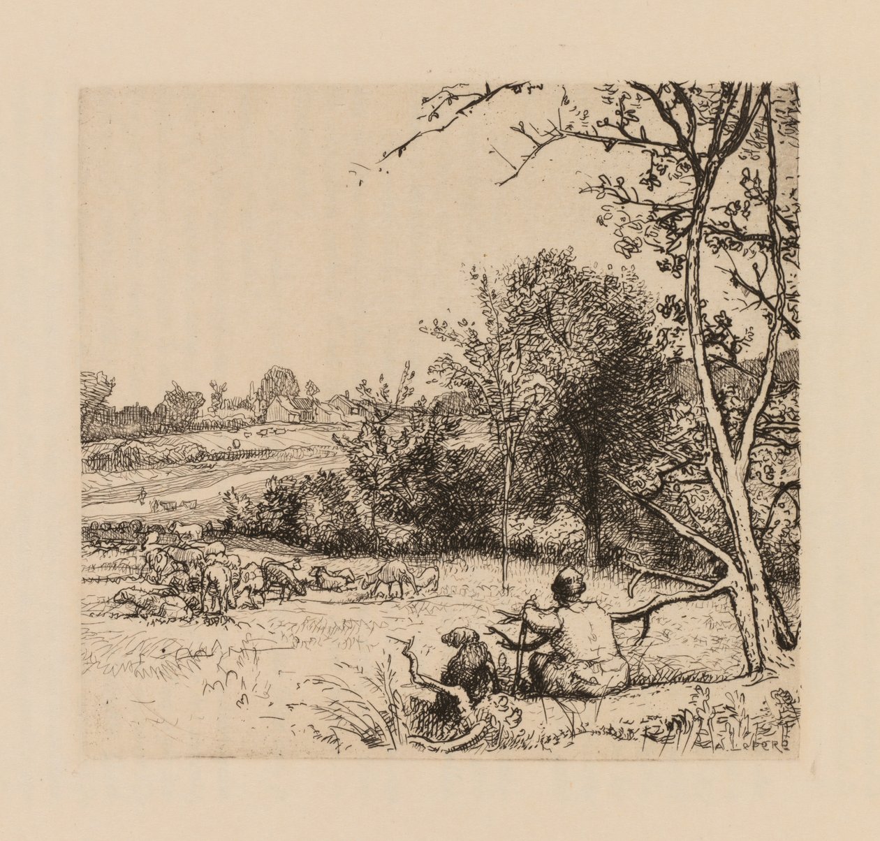 Auguste Lepère: A macieira virada (Picardia) de Auguste Louis Lepère