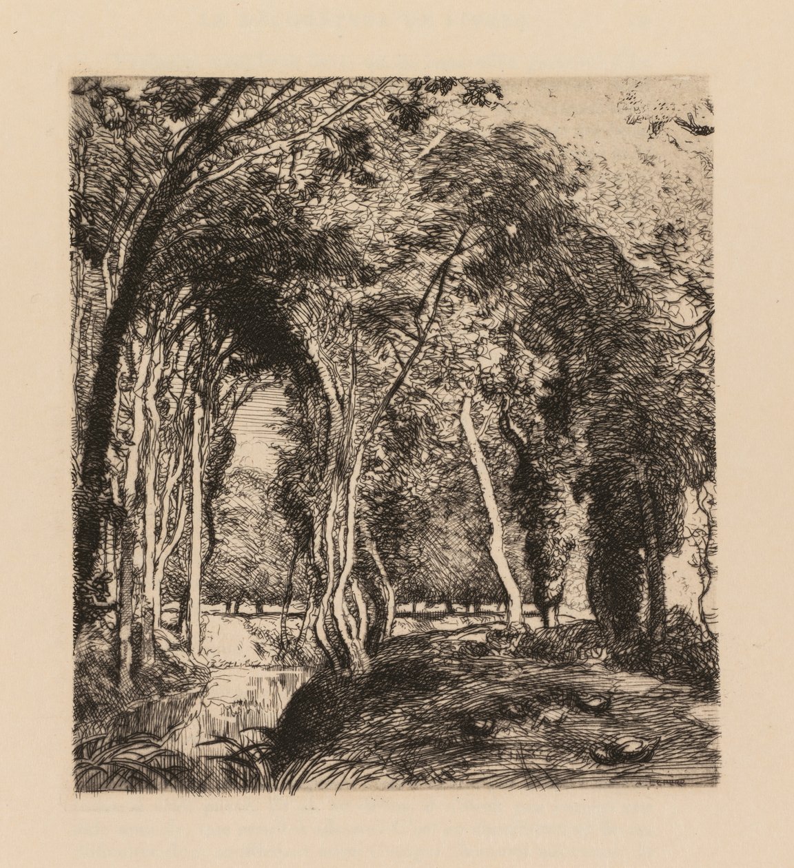 Auguste Lepère: vegetação rasteira, na Rigonette Vendèe. de Auguste Louis Lepère