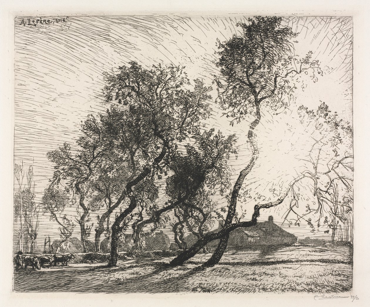 Fazenda com árvores de álamo da Holanda, 1914. de Auguste Louis Lepère