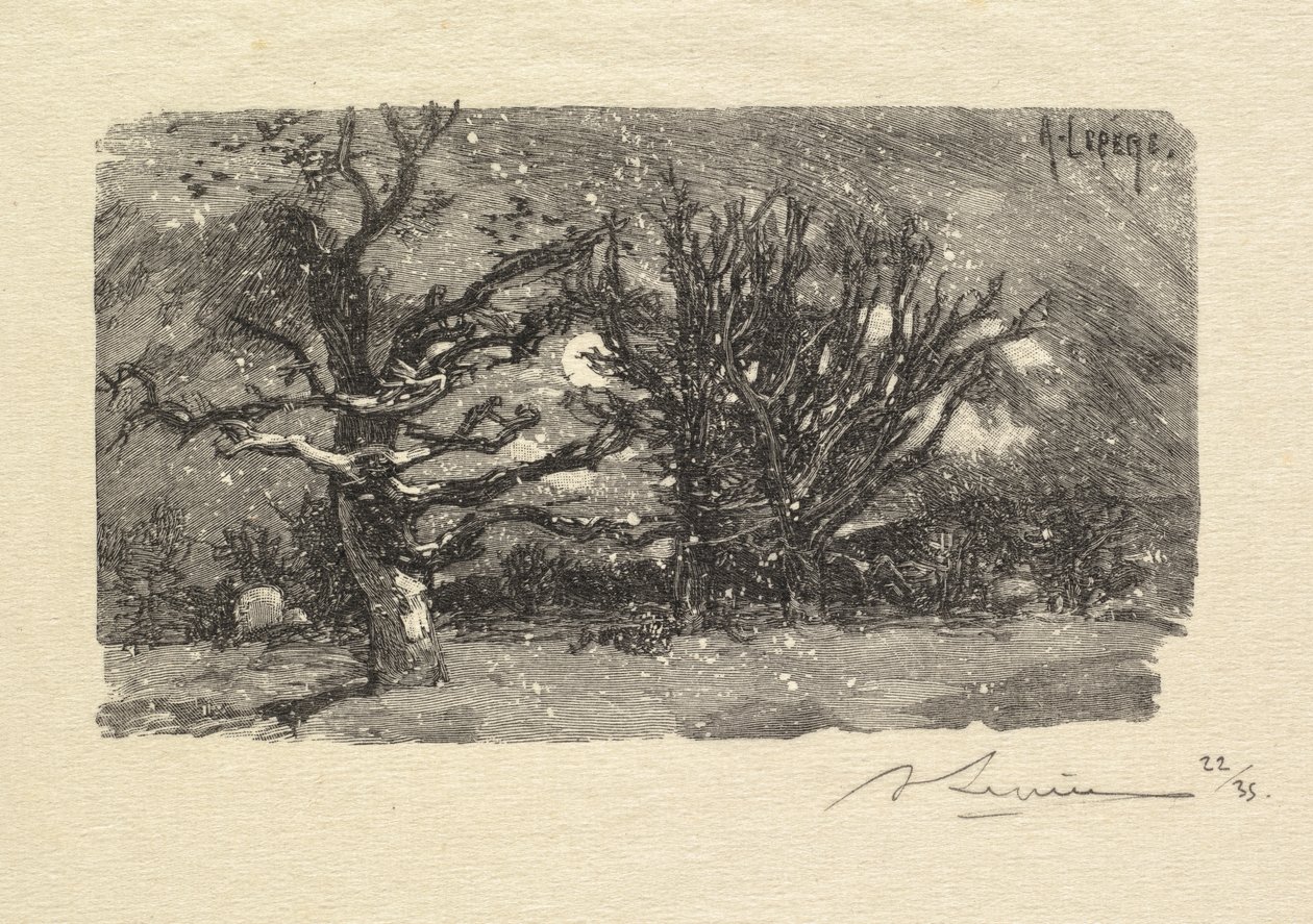 Floresta de Fontainebleau: Au dormoir de Lantara (La Forêt de Fontainebleau: Au dormoir de Lantara) de Auguste Louis Lepère