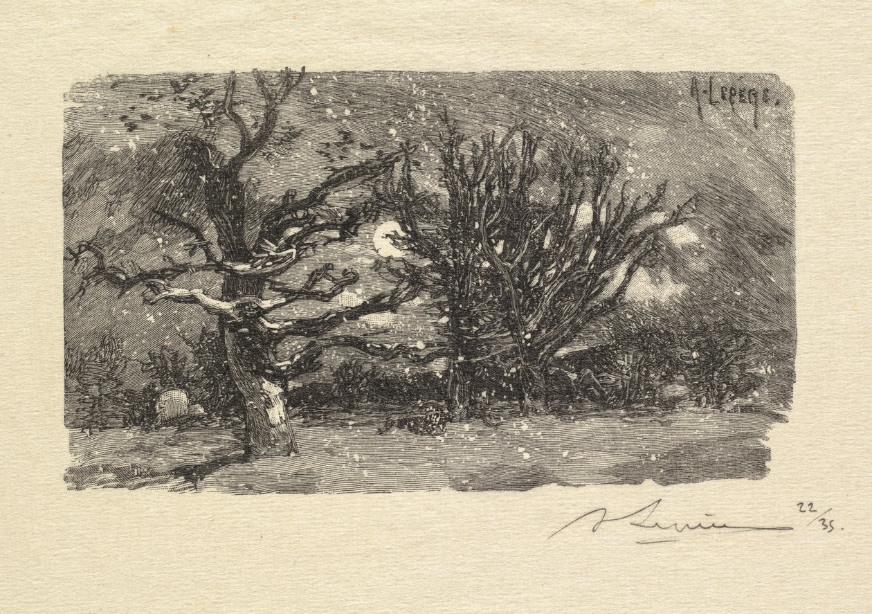 Floresta de Fontainebleau: Au dormoir por Lantara La Forêt de Fontainebleau: Au dormoir por Lantara, 1890 de Auguste Louis Lepère