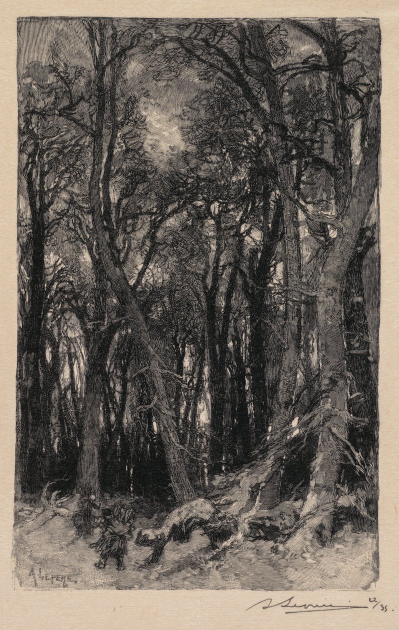 Floresta de Fontainebleau: Bas-Bréau (A Floresta de Fontainebleau: Bas-Bréau) de Auguste Louis Lepère