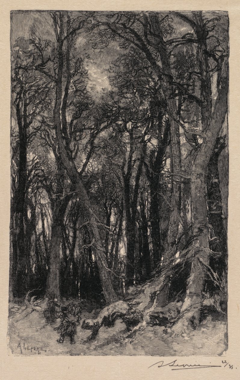 Floresta de Fontainebleau: Bas-Bréau A Floresta de Fontainebleau: O Baixo Bréau, 1890. de Auguste Louis Lepère
