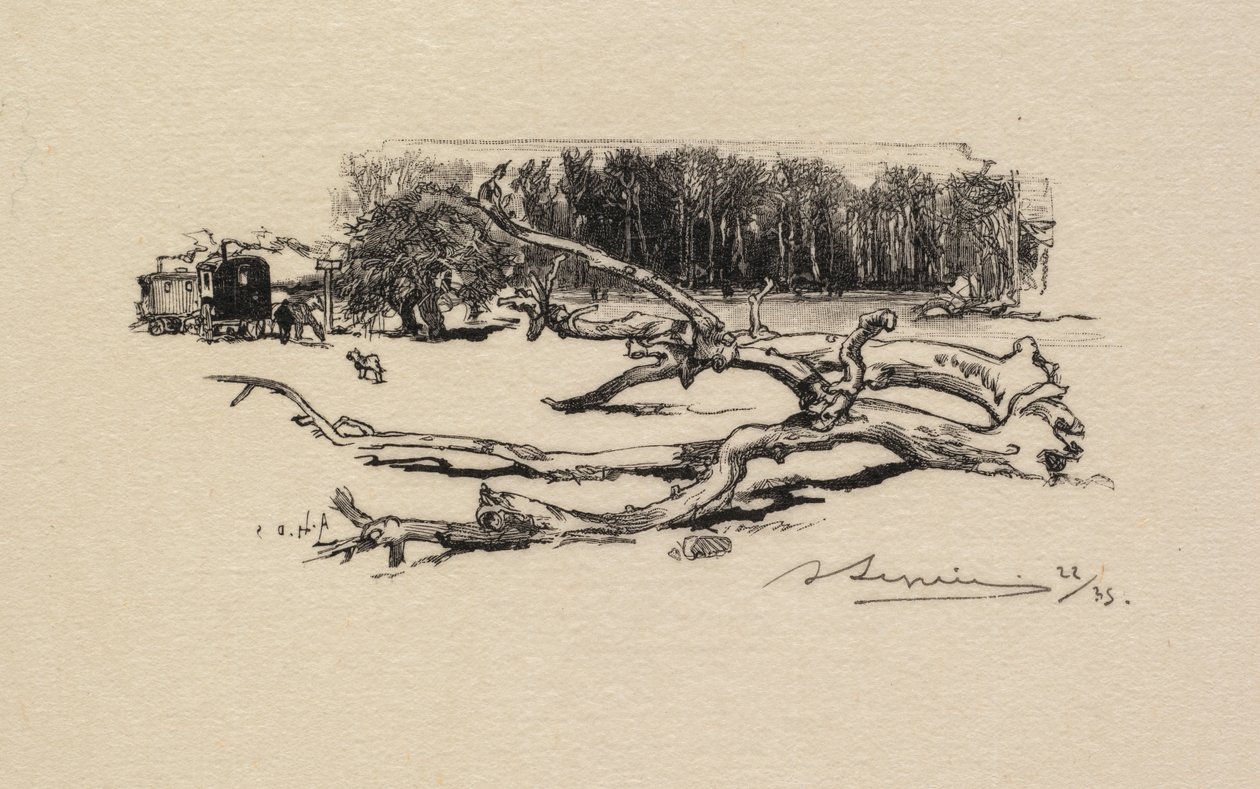 Floresta de Fontainebleau: Carrefour de l
