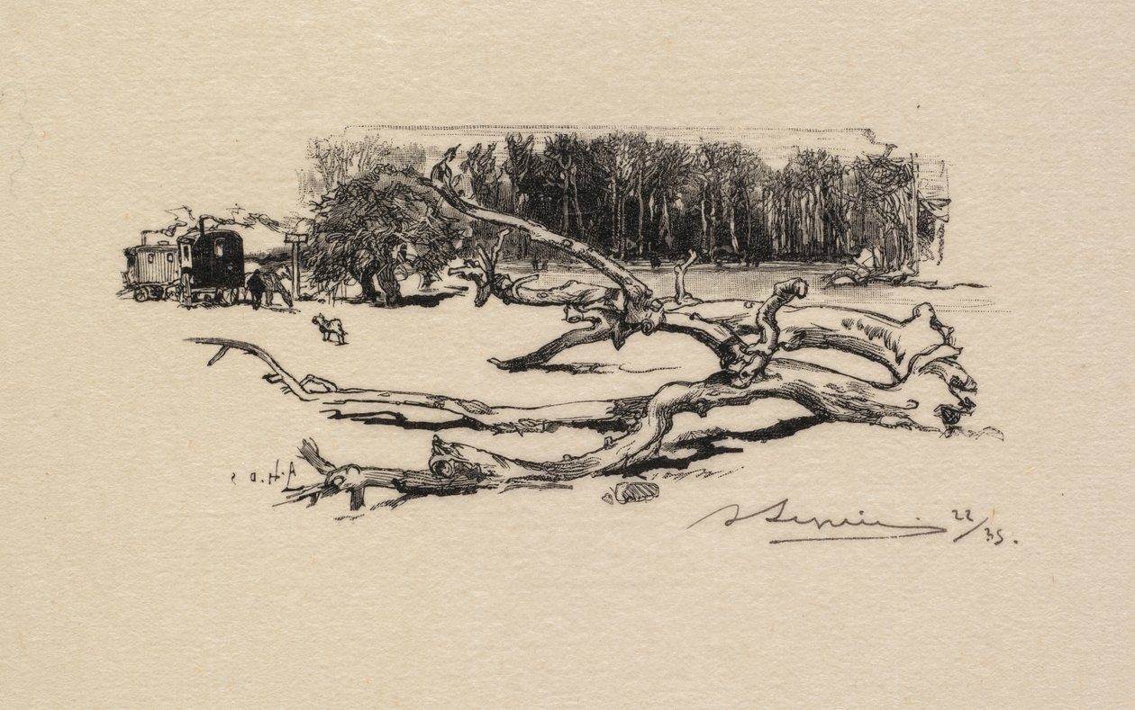 Floresta de Fontainebleau: encruzilhada de Epine Floresta de Fontainebleau: encruzilhada de Eppin, 1890. de Auguste Louis Lepère
