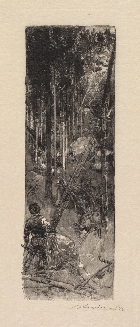 Floresta de Fontainebleau: Corte de pinheiros A Floresta de Fontainebleau: Abate de pinheiros, 1890. de Auguste Louis Lepère