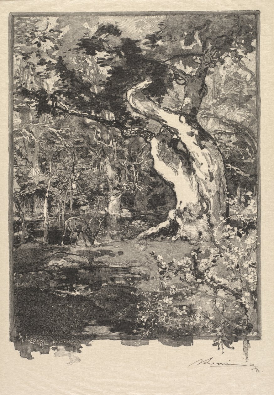 Floresta de Fontainebleau: Le Clovis, Plateau de Bellecroix (A Floresta de Fontainebleau: Plateau de Belle-Çroix, le Clovis) de Auguste Louis Lepère