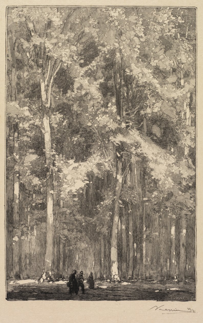 Floresta Fontainebleau: Manhã, Encruzilhada da Rota dos Fortes de Marlotte de Auguste Louis Lepère