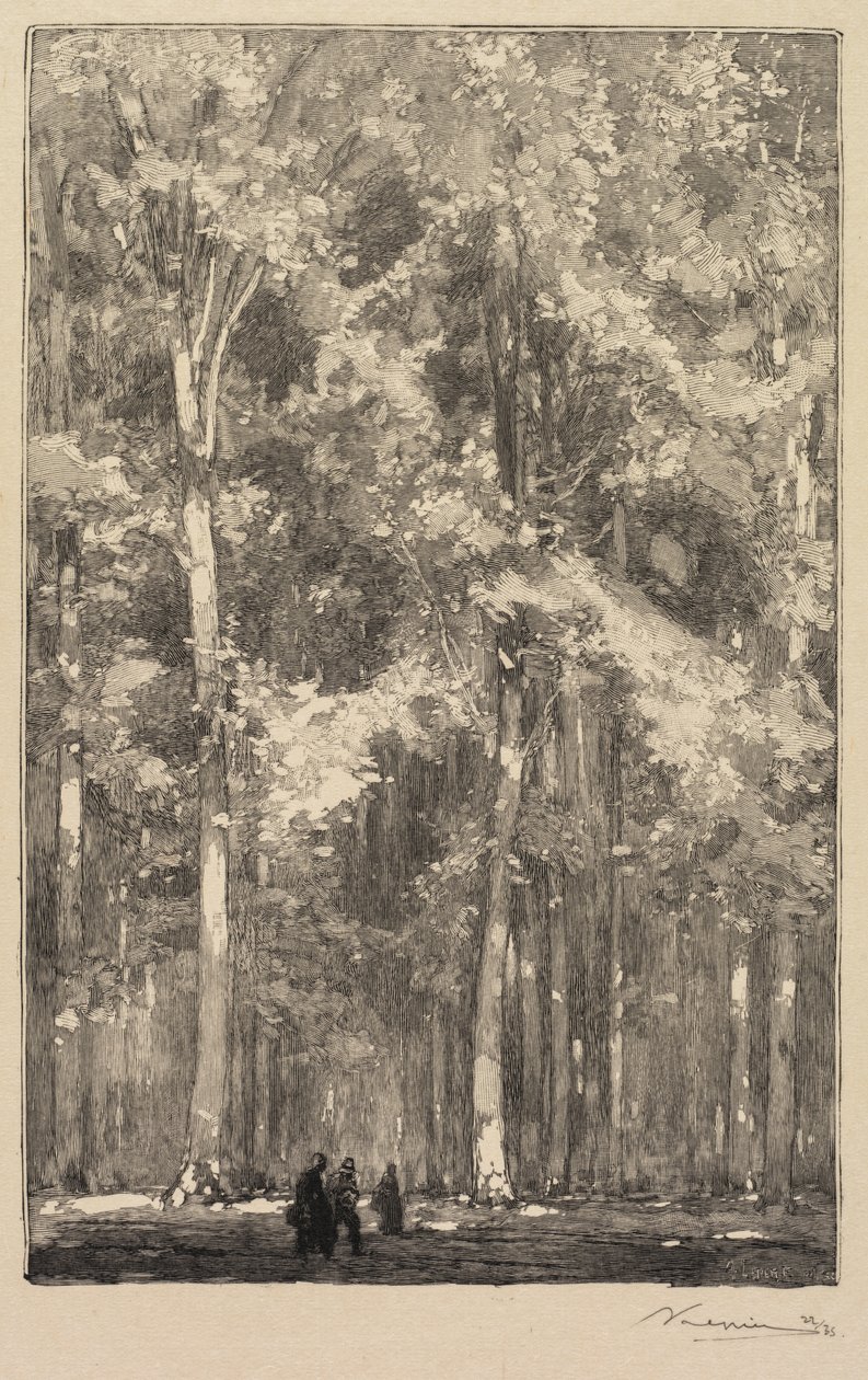 Floresta de Fontainebleau: Manhã, encruzilhada da Rota dos Fortes de Marlotte ..., 1890. de Auguste Louis Lepère