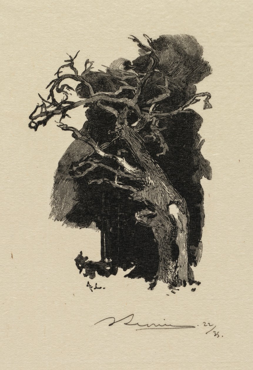 Floresta de Fontainebleau: A Fúria A Floresta de Fontainebleau: A Fúria, 1890. de Auguste Louis Lepère