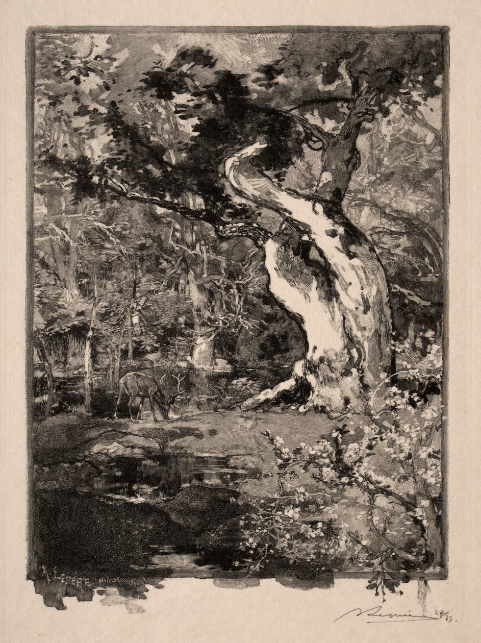 Clovis, Plateau de Bellecroix, 1890. de Auguste Louis Lepère
