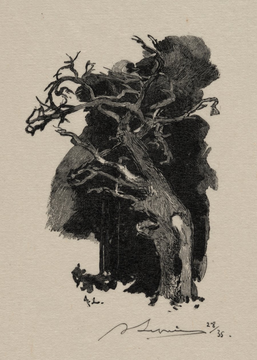 O Furioso de Auguste Louis Lepère