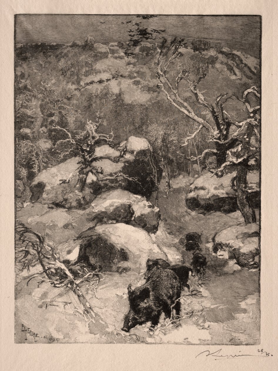 Roche Cuvier Châtillon de Auguste Louis Lepère