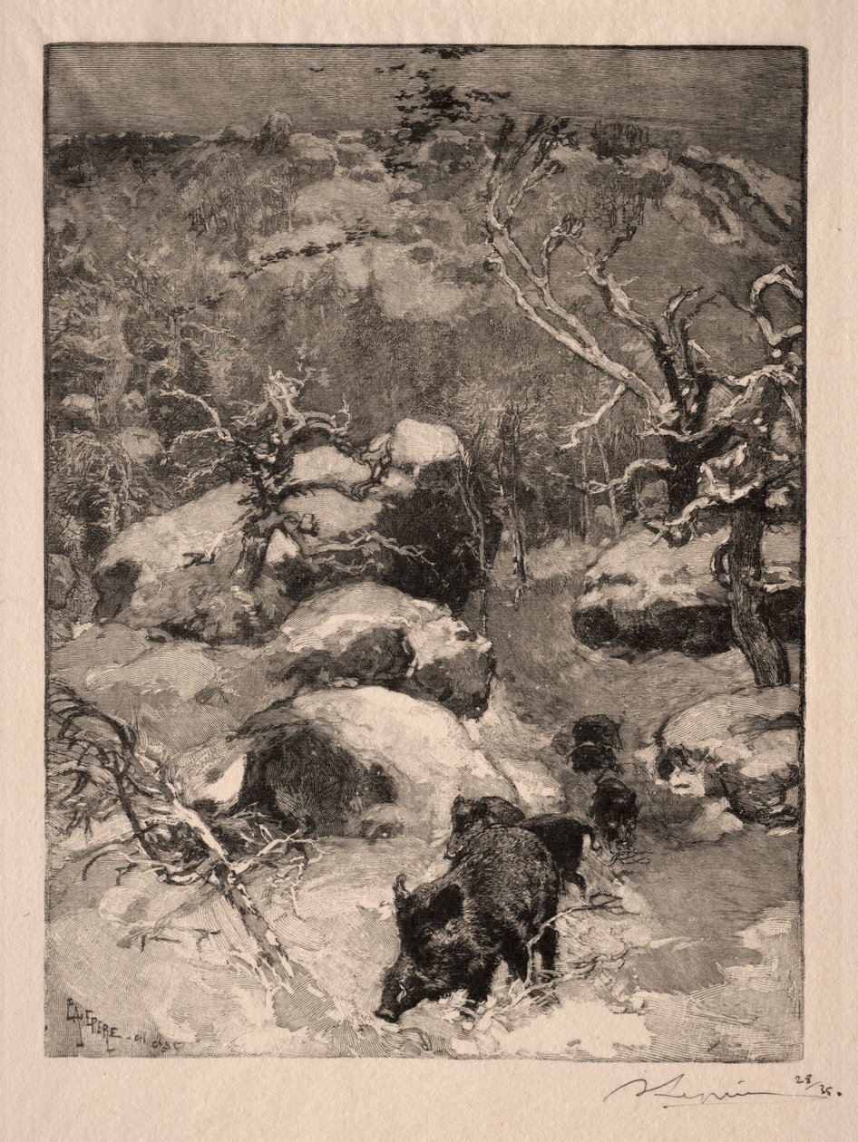Roche Cuvier Chatillon, 1887. de Auguste Louis Lepère