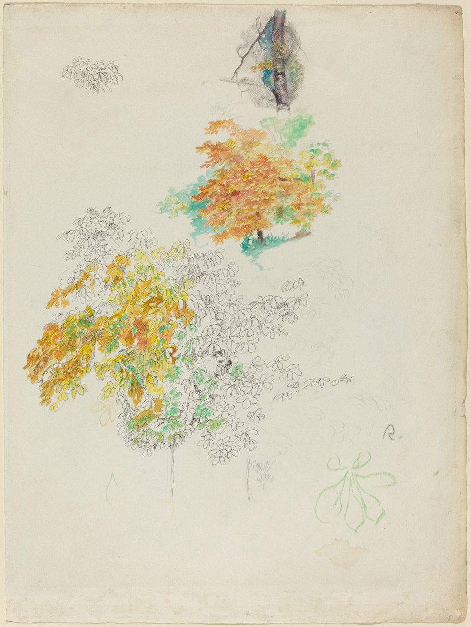 Estudos de árvores de Auguste Renoir